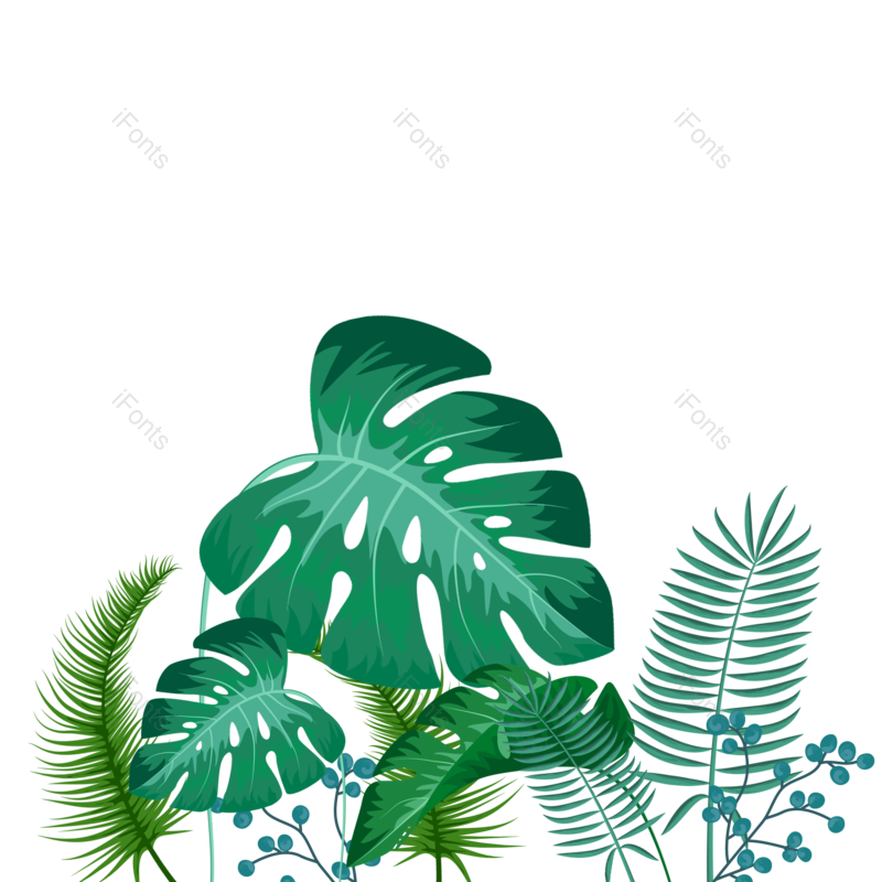 叶子图片,夏天元素,插画PNG,绿叶免抠素材